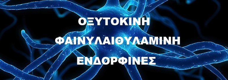 Πως μας επηρεάζουν οι ορμόνες Οξυτοκίνη, Φαινυλαιθυλαμίνη, Ενδορφίνες